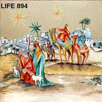 LIFE LINING 45X45 Tellini S.r.l. Wholesale Clothing